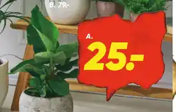 Bilka Grøn plante tilbud