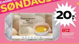 Dueholm danske økologiske æg
