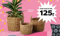 Kvickly Kurvesæt i søgræs tilbud