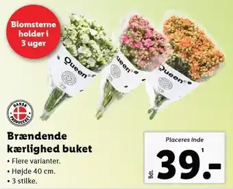 Lidl QUEEN Brændende kærlighed buket tilbud
