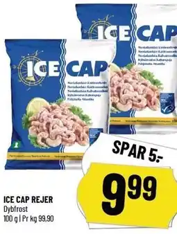 Løvbjerg ICE CAP REJER tilbud