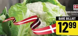 DANSK BLOMKÅL