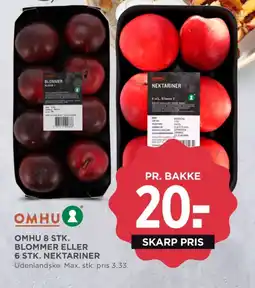 Nektariner