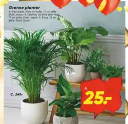 Bilka Planter tilbud
