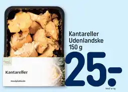 REMA 1000 KANTARELLER Udenlandske tilbud