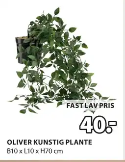 OLIVER KUNSTIG PLANTE