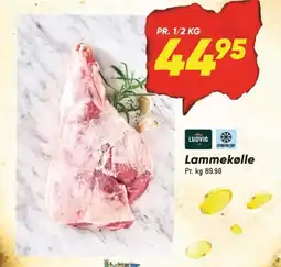 Bilka Lammekølle tilbud
