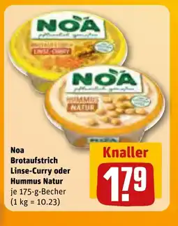 NOA Brotaufstrich Linse-Curry oder Hummus Natur