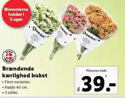 Lidl Brændende kærlighed buket tilbud