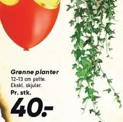 Bilka Grønne planter tilbud