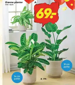 Bilka Grønne planter tilbud