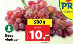 Lidl Røde vindruer tilbud