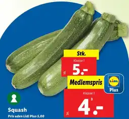 Lidl Squash tilbud