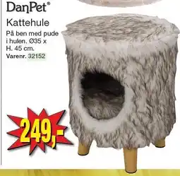 Kattehule