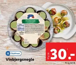 Vinbjergsnegle