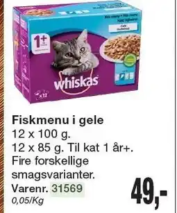 Fiskmenu i gele
