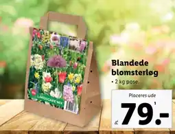 Lidl Blandede blomsterløg tilbud