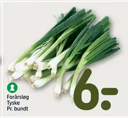 REMA 1000 Forårsløg Tyske Pr. bundt tilbud