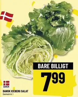 Løvbjerg DANSK ICEBERG SALAT tilbud