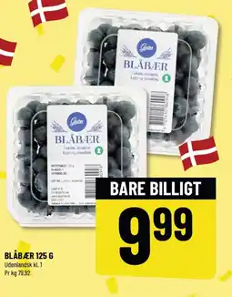Løvbjerg BLÅBÆR tilbud