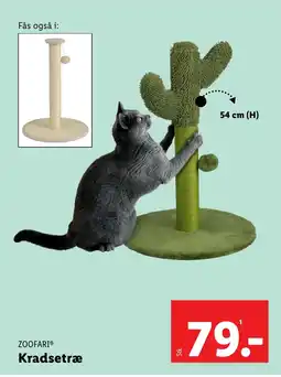 Lidl ZOOFARI Kradsetræ tilbud