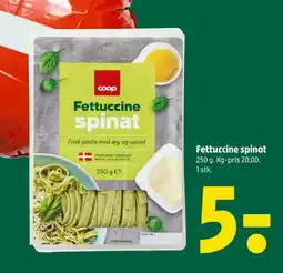 Fettuccine spinat