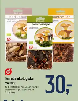 Tørrede økologiske svampe