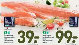REMA 1000 Fersk dansk landopdrættet laks tilbud