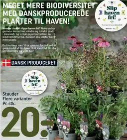 REMA 1000 Stauder tilbud