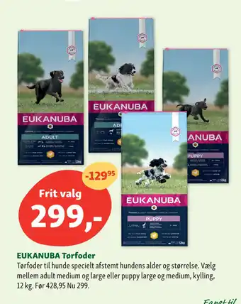 Maxi Zoo EUKANUBA Tørfoder tilbud