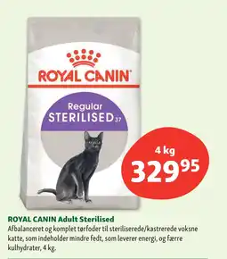 Maxi Zoo ROYAL CANIN Adult Sterilised tilbud