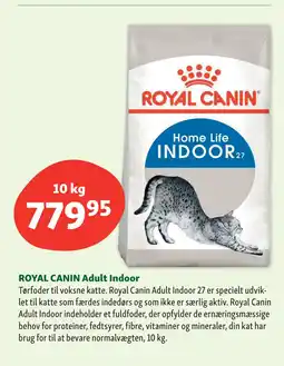 Maxi Zoo ROYAL CANIN Adult Indoor tilbud