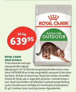 Maxi Zoo ROYAL CANIN Adult Outdoor tilbud