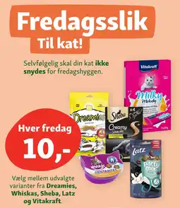 Fredagsslik Til kat!
