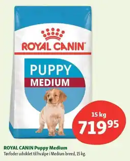 Maxi Zoo ROYAL CANIN Puppy Medium tilbud