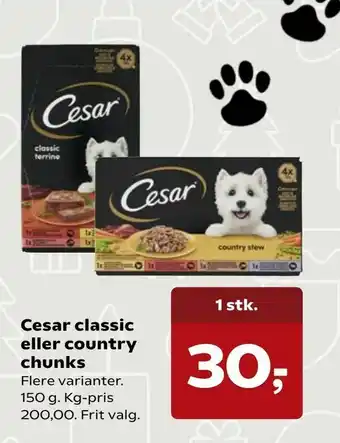 Cesar classic eller country chunks