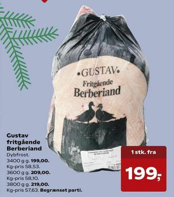 Kvickly Gustav fritgående Berberiand tilbud
