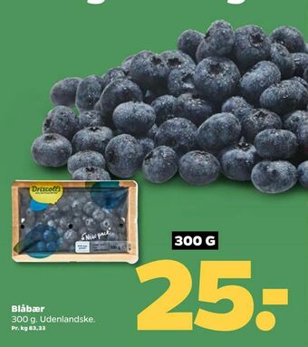 Netto Blåbær tilbud