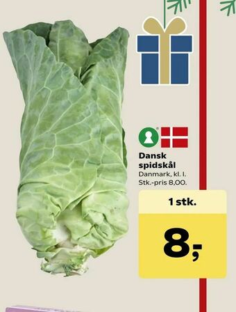 SuperBrugsen Dansk spidskål tilbud