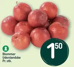REMA 1000 Blommer tilbud