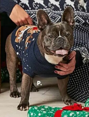 Bilka Jumper til hund tilbud