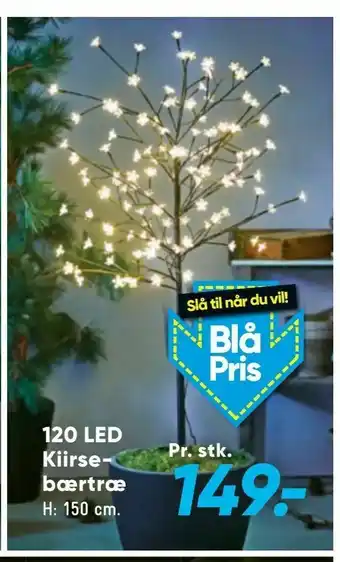 Bilka 120 LED Kiirsebærtræ tilbud
