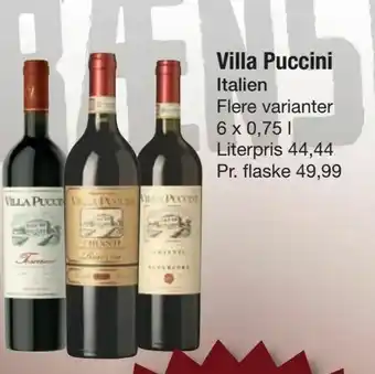 Villa Puccini