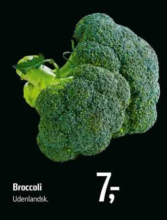 Føtex Broccoli tilbud