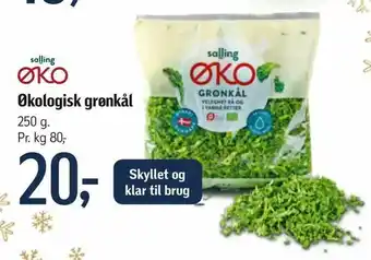 Føtex Økologisk grønkål tilbud