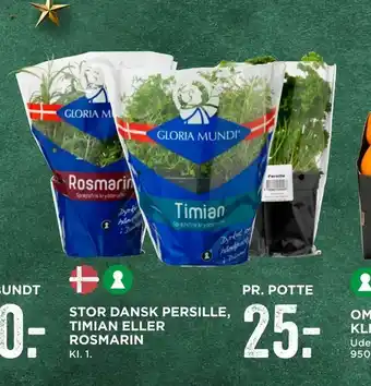 MENY Stor dansk persille, timian eller rosmarin tilbud