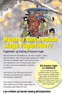 Harald Nyborg Hvad er den bedste slags fuglefoder? tilbud