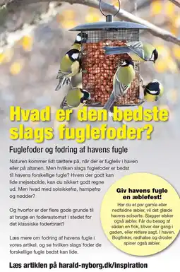 Harald Nyborg Hvad er den bedste slags fuglefoder? tilbud