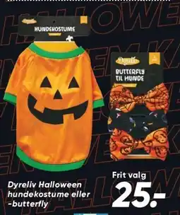 Bilka Dyreliv Halloween hundekostume eller -butterfly tilbud