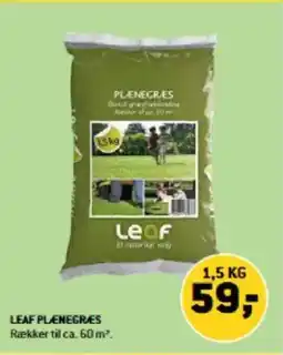 XL-BYG Leaf Plænegres tilbud